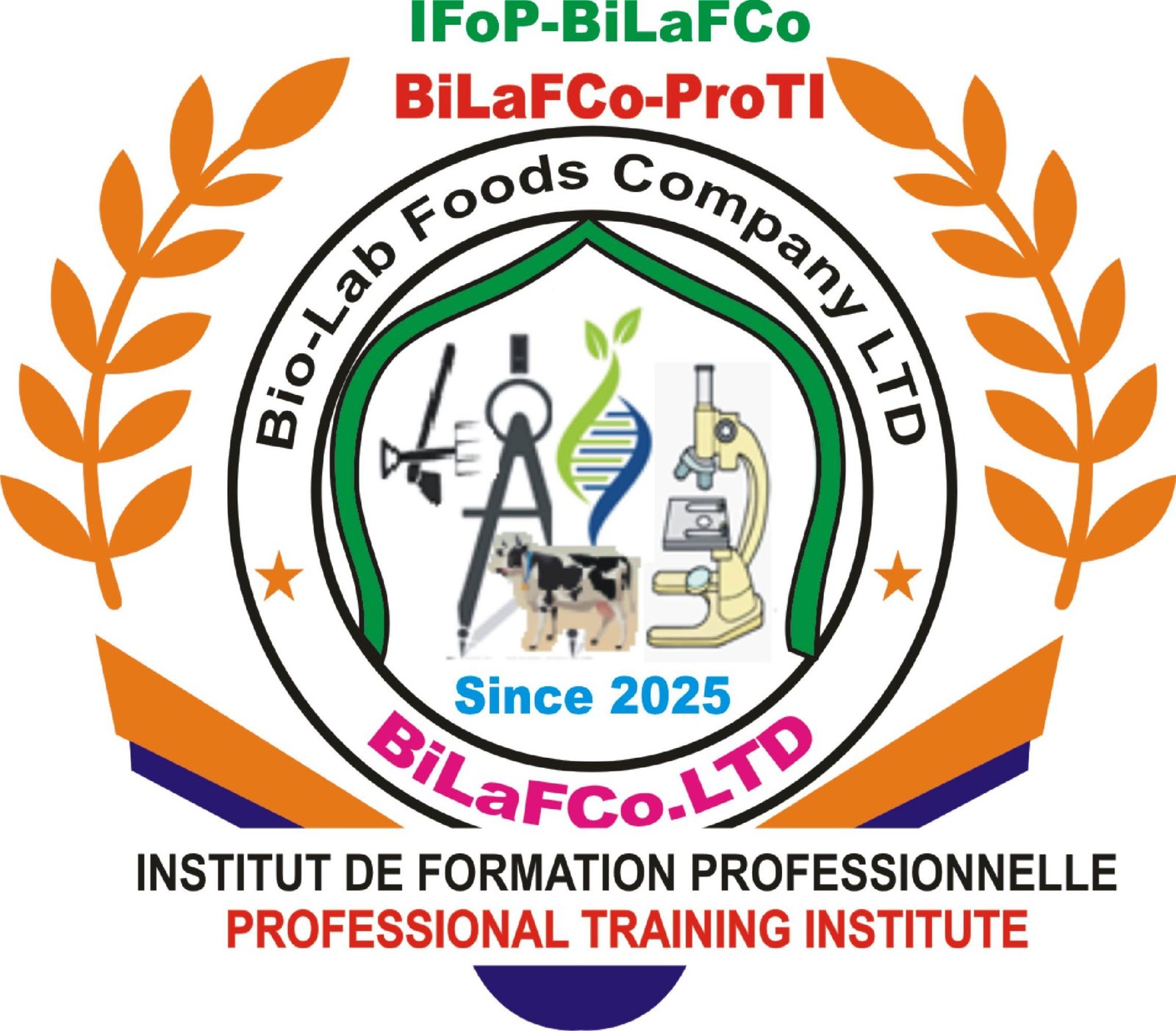 Logo IFoP–BiLaFCo